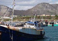 Gansbaai harbour